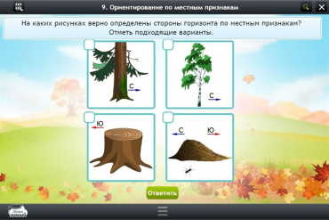 Интерактивные курсы. Окружающий мир 1 класс. Базовый - «globural.ru» - Тобольск