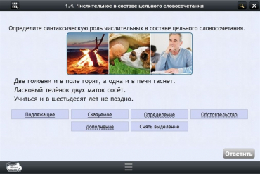 Интерактивные курсы. Русский язык 6 класс. Базовый - «globural.ru» - Тобольск