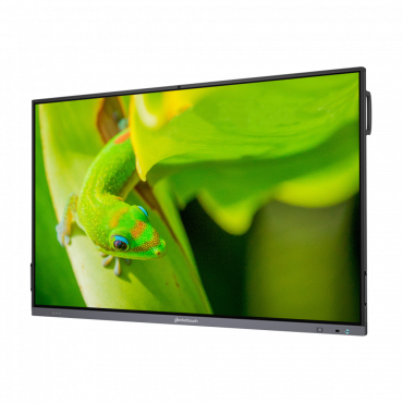 Интерактивный программно-аппаратный комплекс Geckotouch Interactive IP75GT-C в комплекте с настенным креплением - «globural.ru» - Тобольск