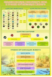 Стенд "Классификация животного мира" - «globural.ru» - Тобольск